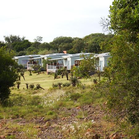 Stoneyvale Cottages เกรแฮมส์ทาวน์ ภายนอก รูปภาพ