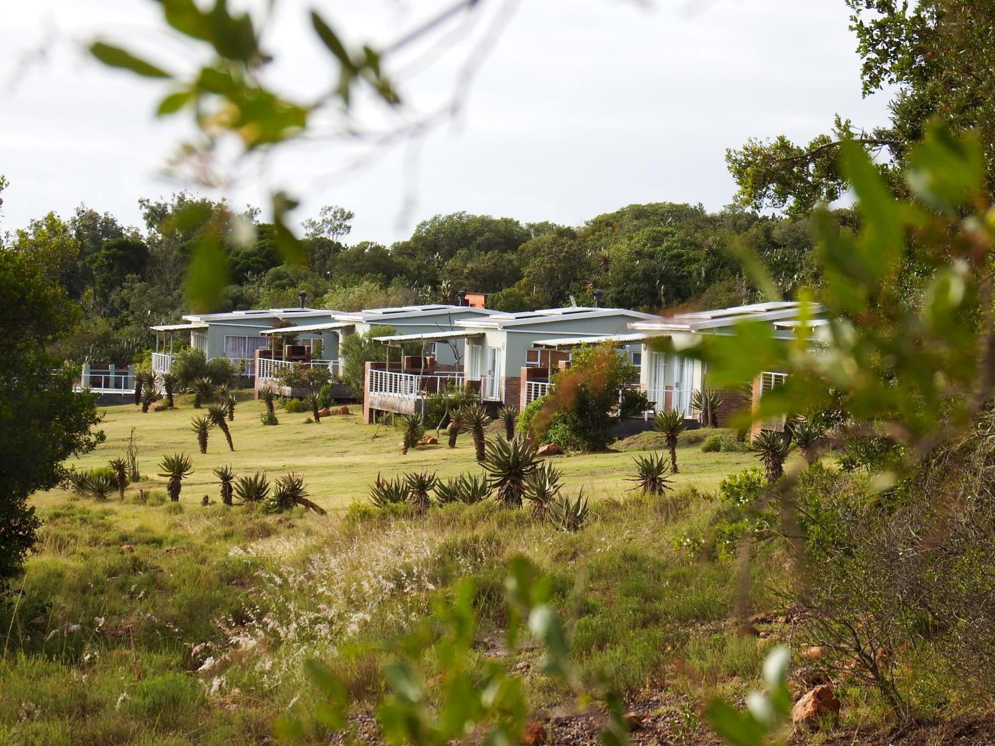 Stoneyvale Cottages เกรแฮมส์ทาวน์ ภายนอก รูปภาพ