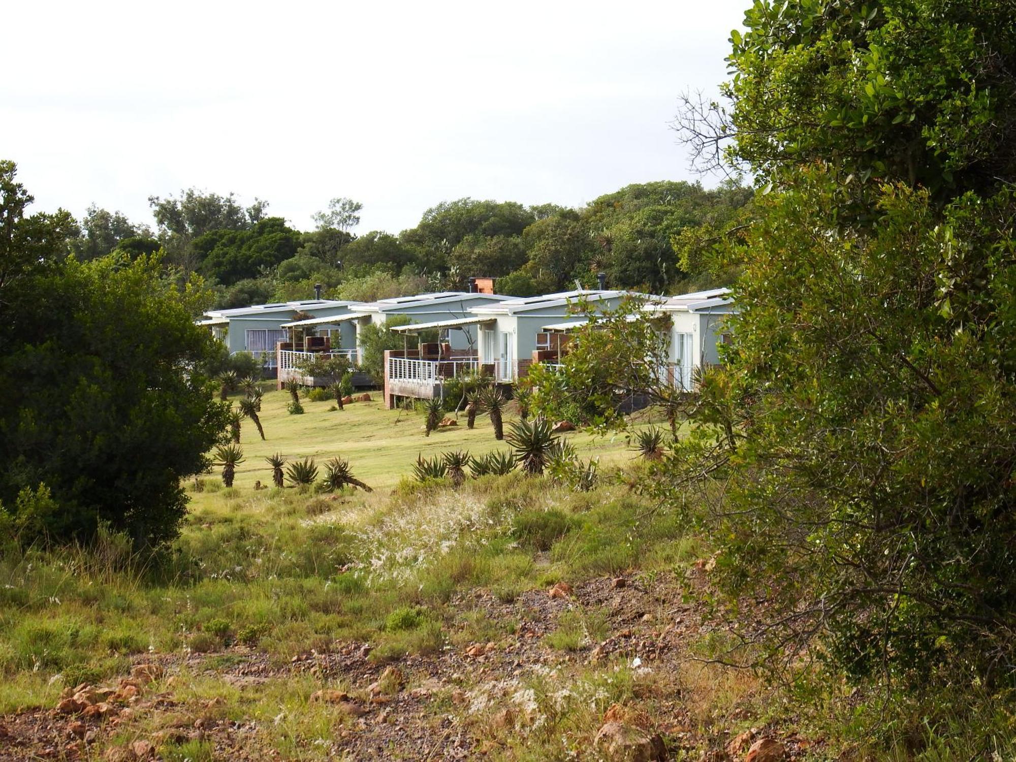 Stoneyvale Cottages เกรแฮมส์ทาวน์ ภายนอก รูปภาพ